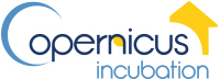 Copernicus Incubation Programme