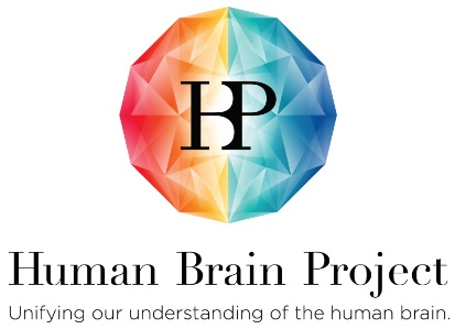 FET Flagship Human Brain Projekt - otvorené výzvy